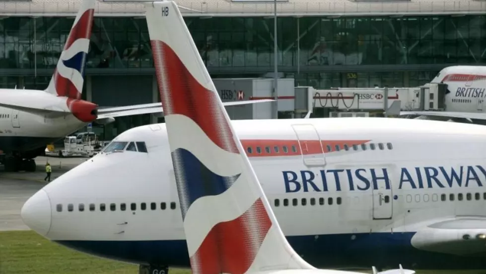 Flight Cancelled After Small, But Unwelcome Guest Was Spotted