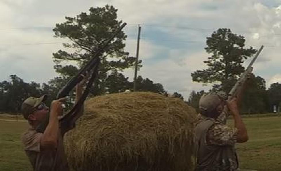 Dove Hunters Reminded Of Ammo Restrictions This Season