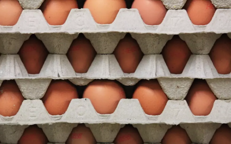 Looking For Less Expensive Eggs? Buy Organic