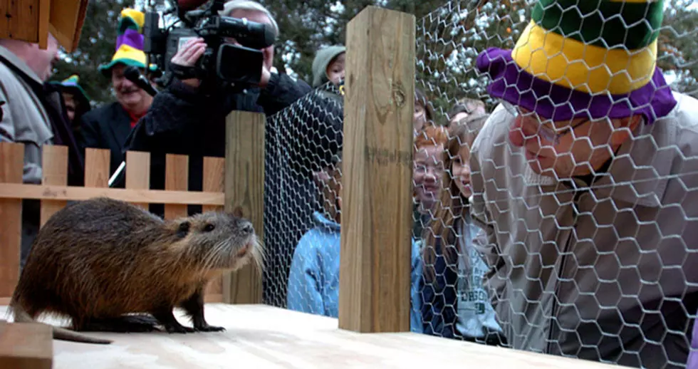 Acadiana Does Groundhog Day A Little Differently