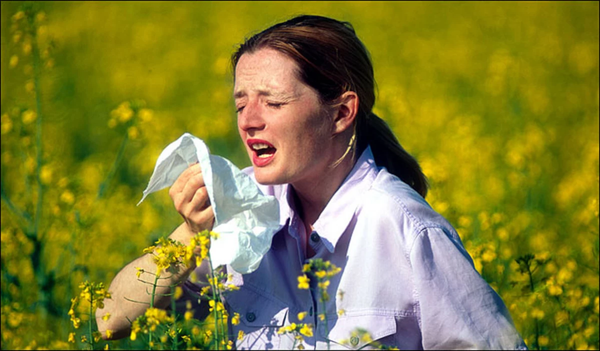 Аллергия на цветение весной фото