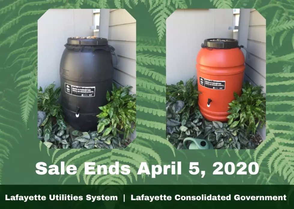 Lafayette Rain Barrel Program Is Back
