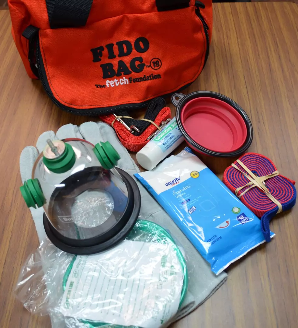 FIDO Bag supplies