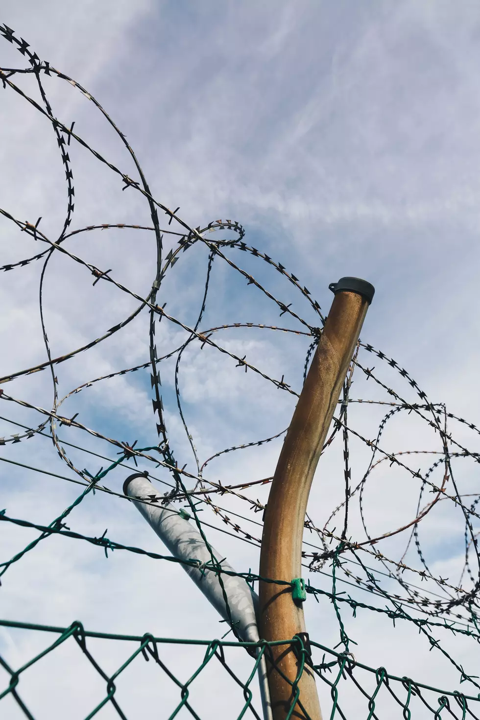 Barbed Wire