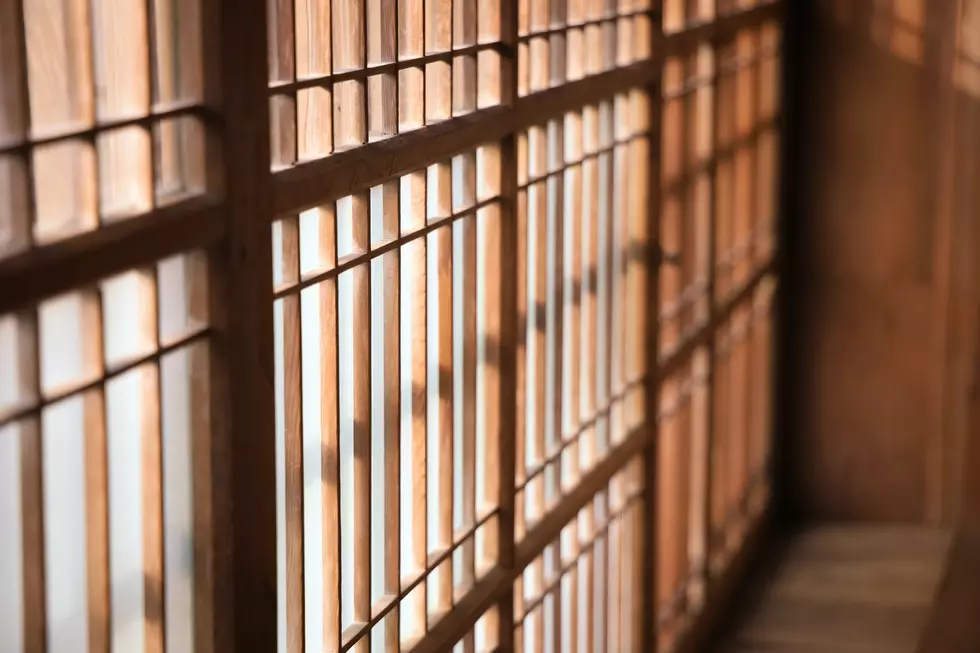 Prison Bars