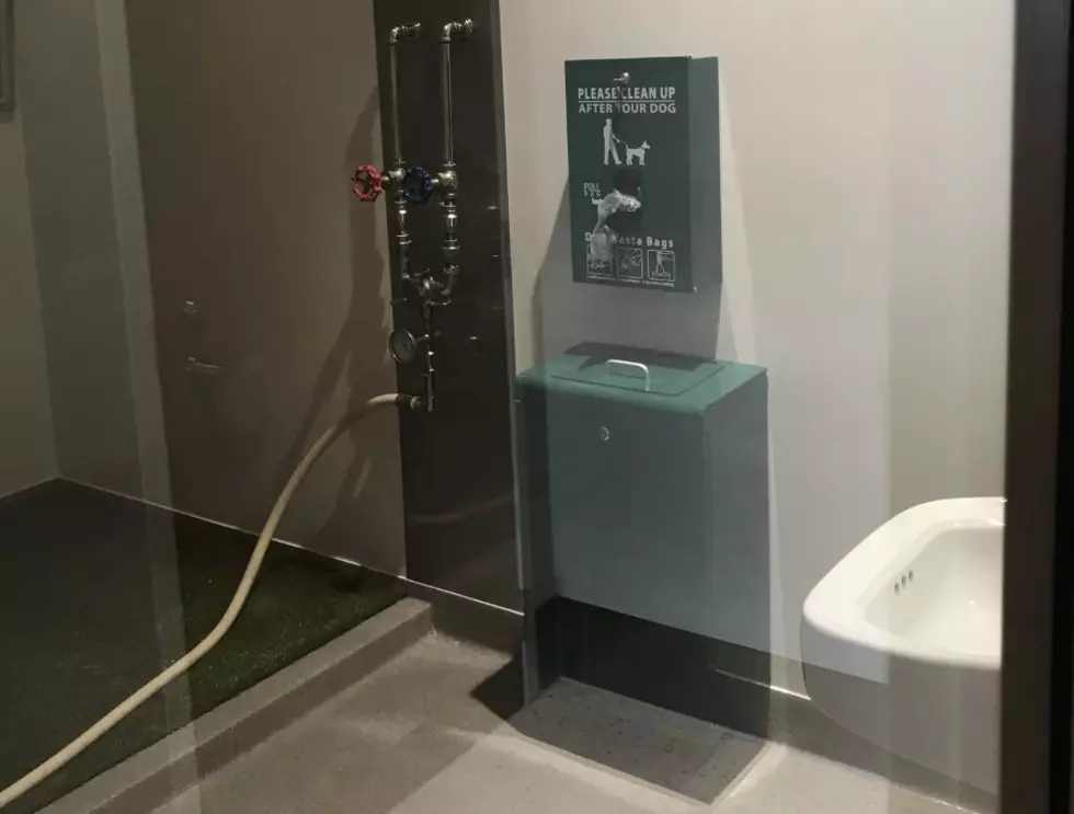 Inside of the Pet Relief Station 2