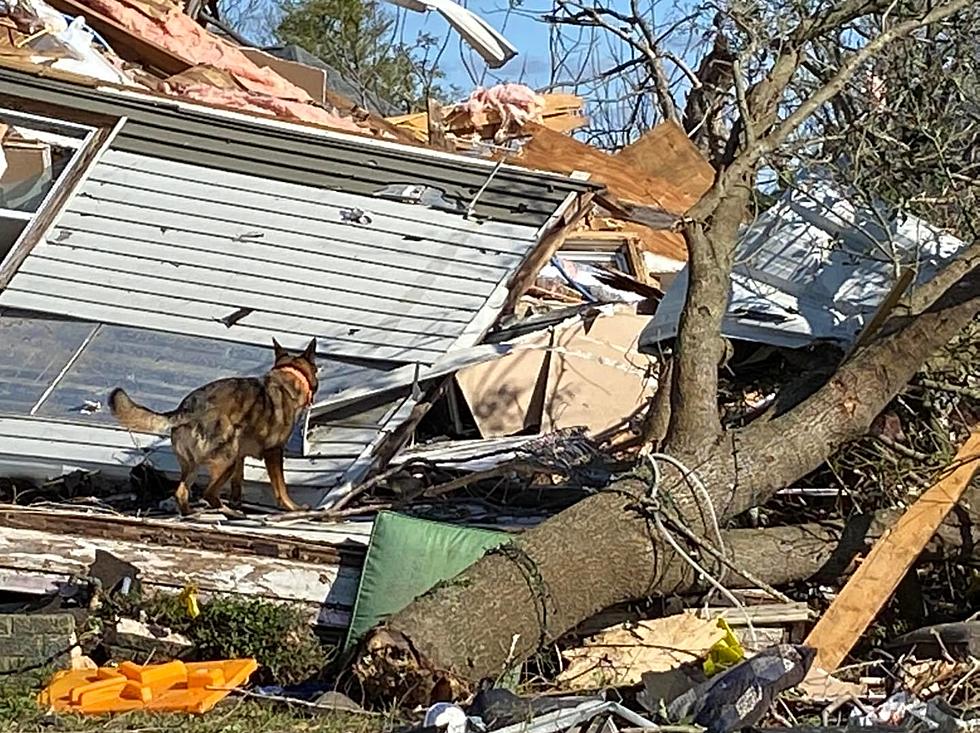 Search, Rescue Efforts Under Way in Greater New Orleans