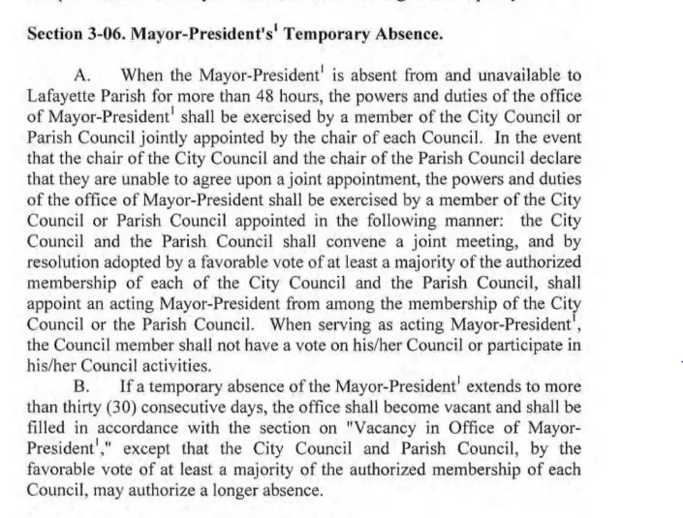 Section 3 06 of LCG Charter