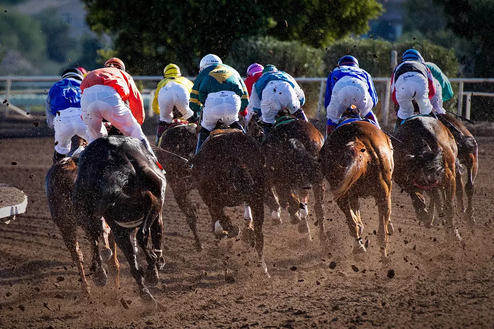 Acadiana Jockey Arrested in Horse Stimulation Allegation Case