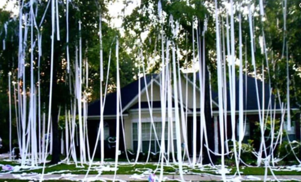 Church Point Police Chief Fed Up W/ Toilet Papering/Egging Homes