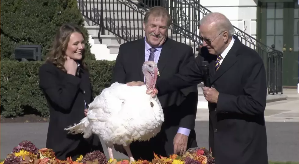 Joe Biden Pardons Turkeys, Chocolate and Chip, for Thanksgiving