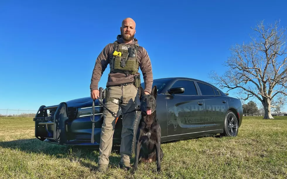 K-9 Officer and Deputy