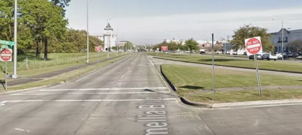 Camellia Blvd & Starling Ln