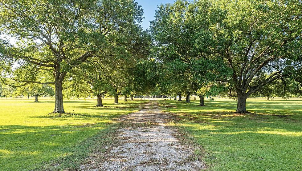What Would You Build on This $2,000,000 Plot of Land in Scott?
