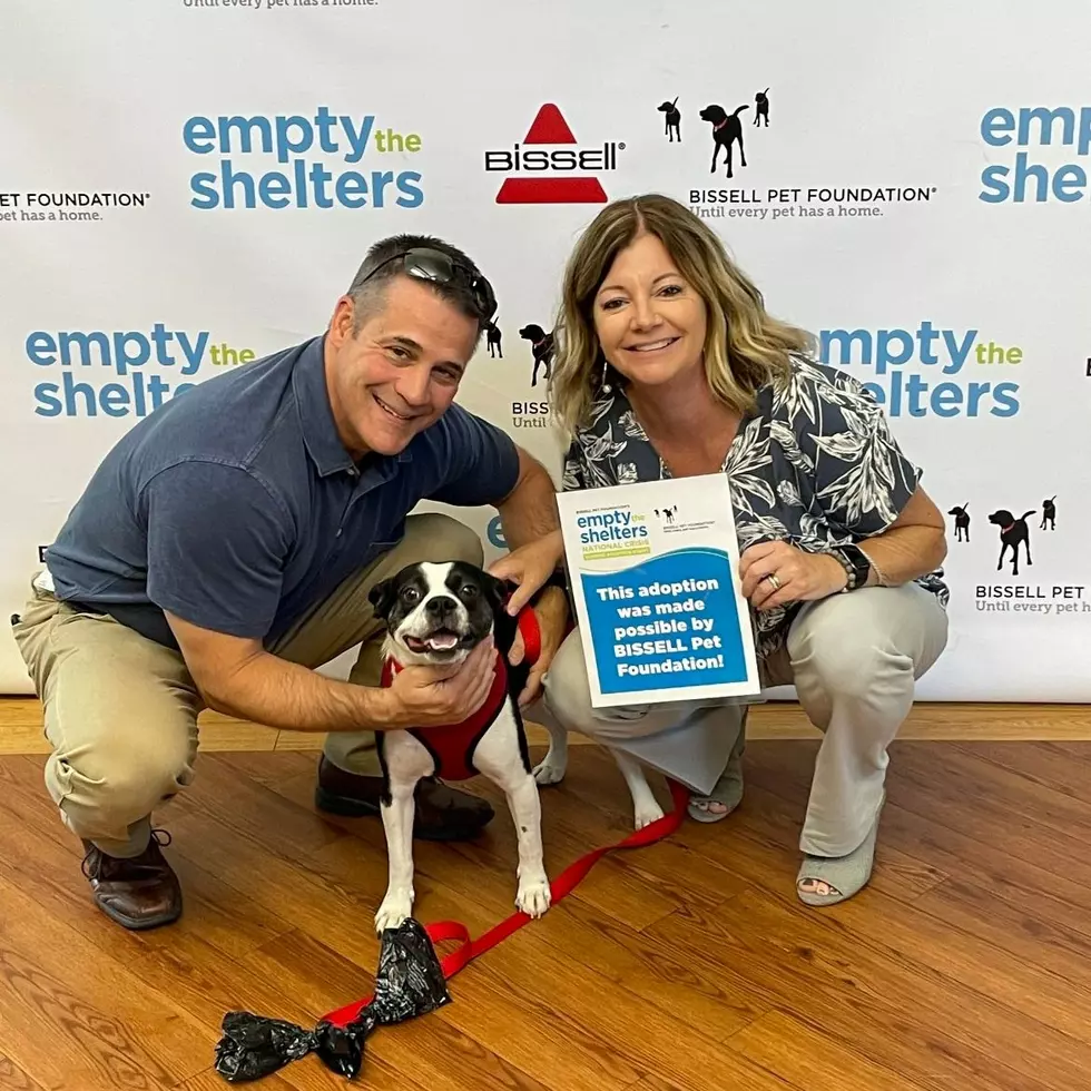 couple adopts dog