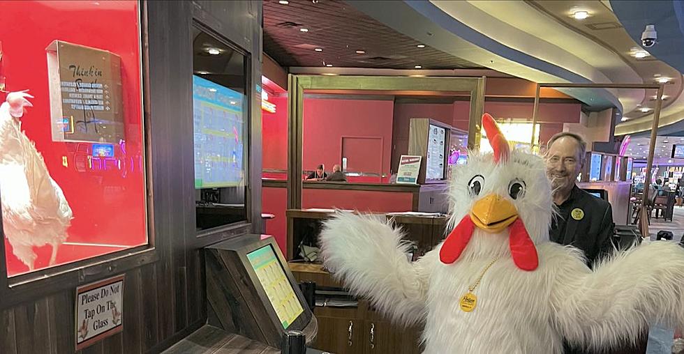 Are You Smarter Than a Chicken? A Louisiana Casino Wants to Know
