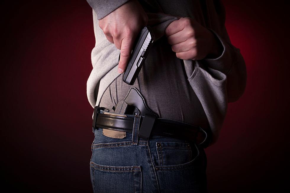 Louisiana Sheriff Issues Cautions about Concealed Carry Bill
