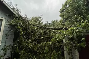 Thousands Without Power in Acadiana, Damage Reported After Severe...