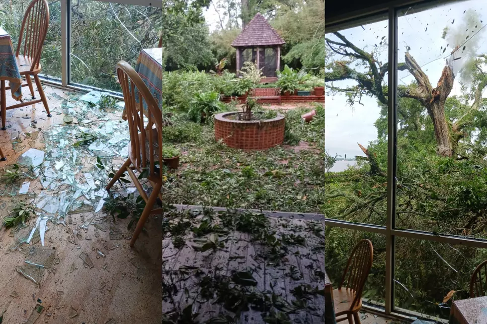 Rip Van Winkle Gardens Closed for Repairs After Storm Damage