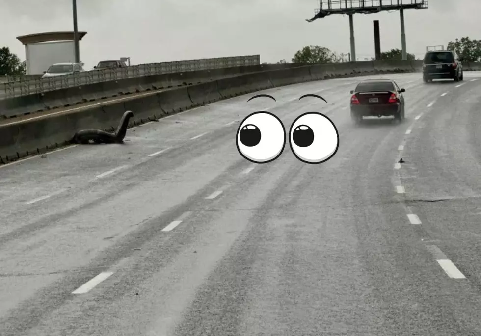 Did Authorities Spot the Loch Ness Monster On a Texas Highway?