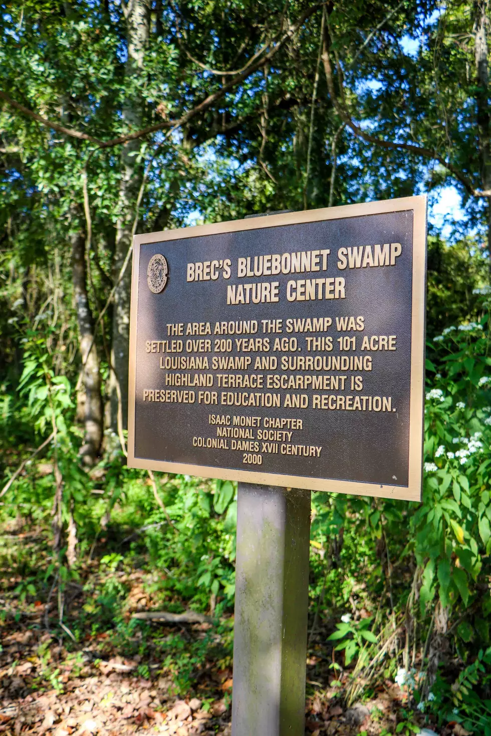 Credit: Bluebonnet Swamp Nature Center (BREC)