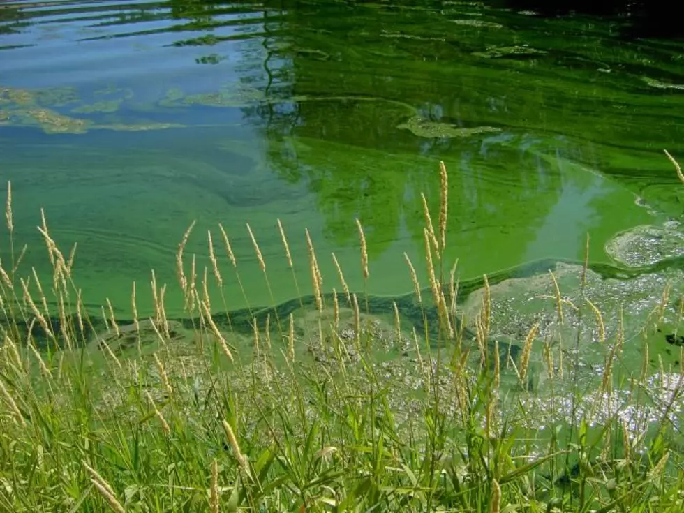 Henderson Lake Water Advisory: What LDH Wants You to Know
