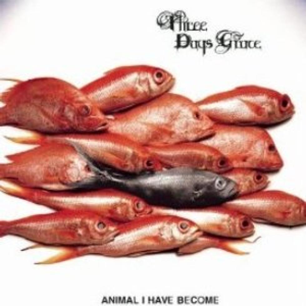 No. 45: Three Days Grace, &#8216;Animal I Have Become&#8217; &#8211; Top 21st Century Hard Rock Songs