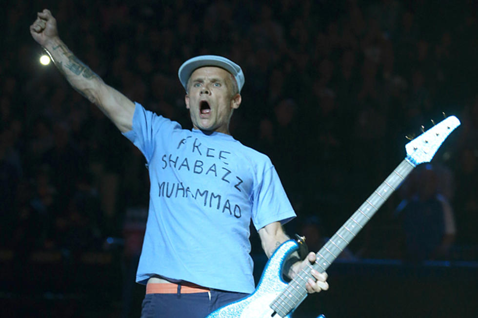 Flea Shows Support