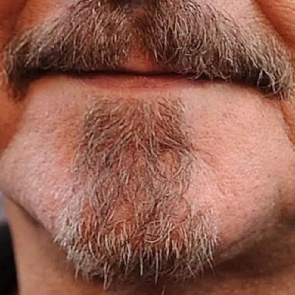 Can You Guess Which Rocker This Mustache Belongs To?