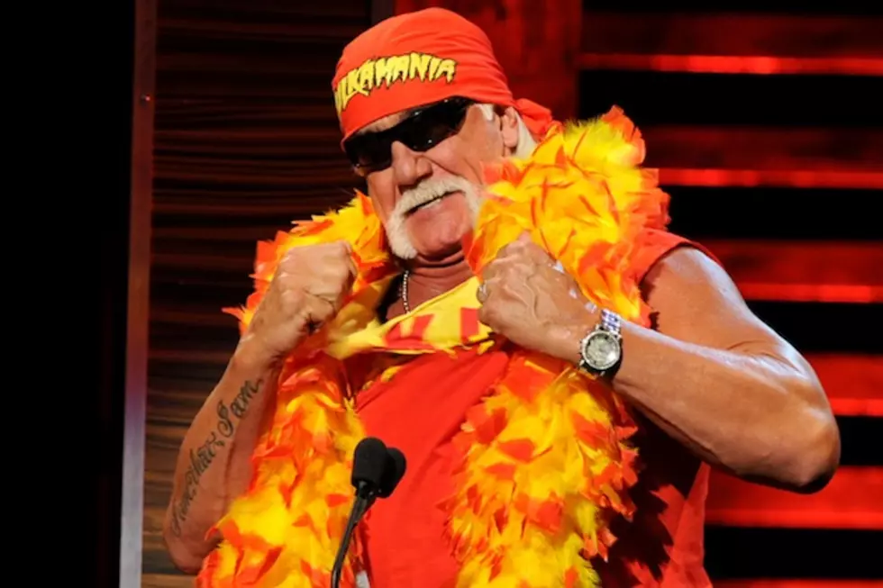 Gennemvæd mølle Hyret Wrestler Hulk Hogan Clears Up Metallica Rumors, Reveals He Did Seek Out  Bassist Position