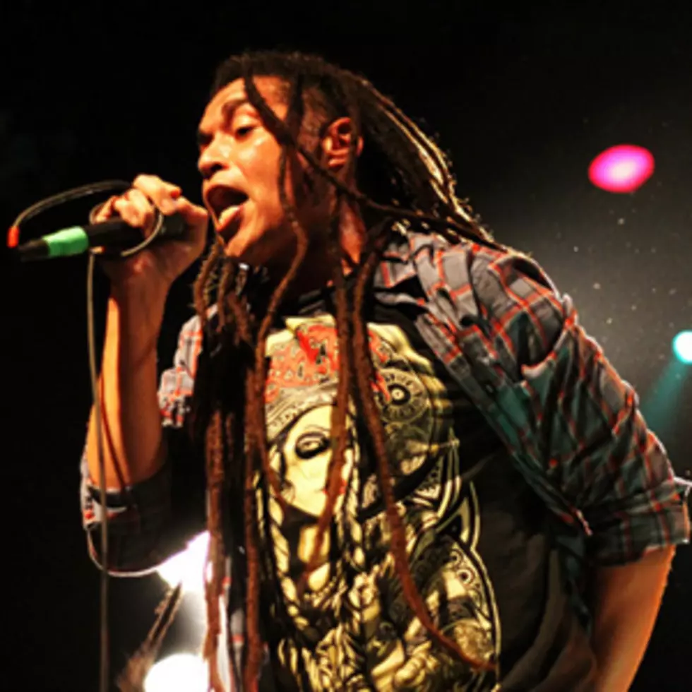 Nonpoint, Candlelight Red + Digital Summer &#8211; 2013 Must-See Rock Concerts