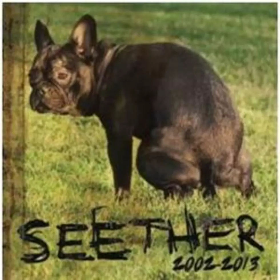 Seether to Unleash Two-Disc Retrospective