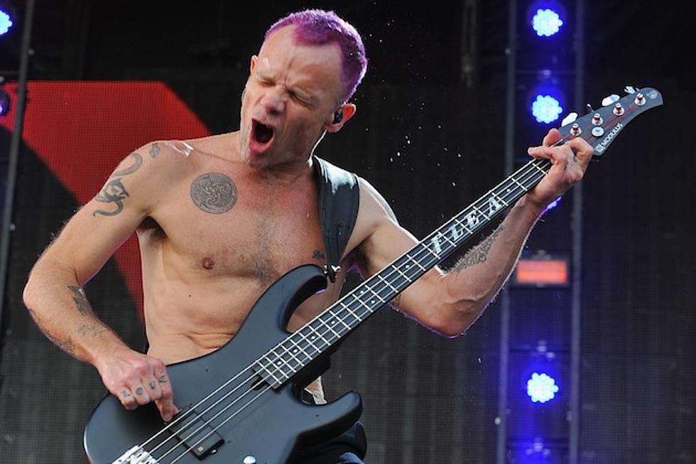 Red Hot Chili Peppers Bassist Flea Lands Deal to Pen Autobiography