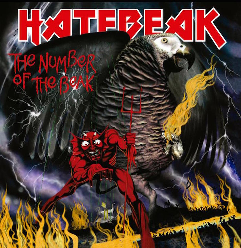 Parrot-Fronted Death Metal Band Hatebeak to Drop New Album