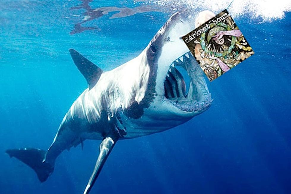 It’s a Scientific Fact: Great White Sharks Love Metal!