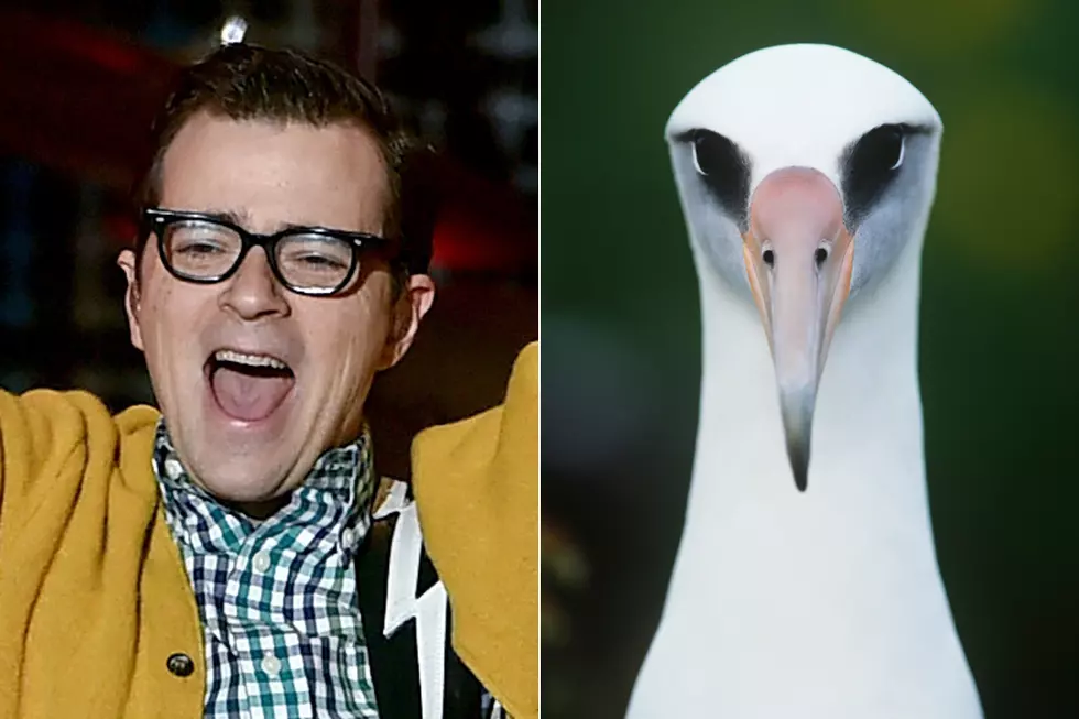 Weezer Offer $25,000 Bundle That Includes Bird Watching With Rivers Cuomo [Update]
