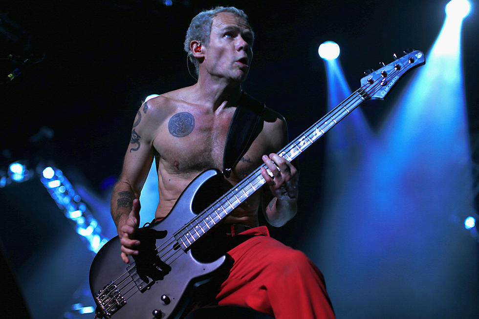 Red Hot Chili Peppers’ Flea Watches on as Koko the Gorilla Learns Bass