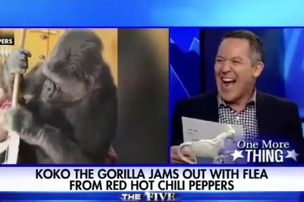 Red Hot Chili Peppers Called &#8216;Worst Band on the Planet&#8217; by Fox News Host