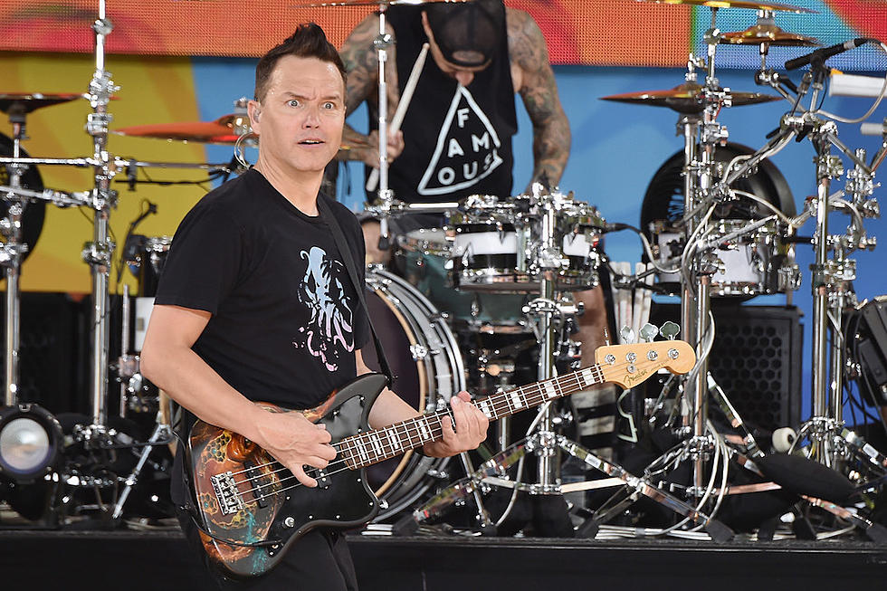 Blink-182 Concertgoer Arrested for Allegedly Biting Security Guard, Two Others Held on Bail