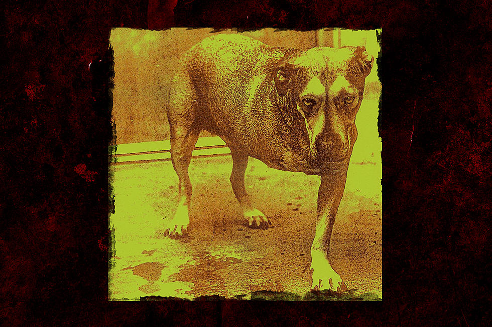 26 Years Ago: Alice in Chains Release Their Self-Titled Album