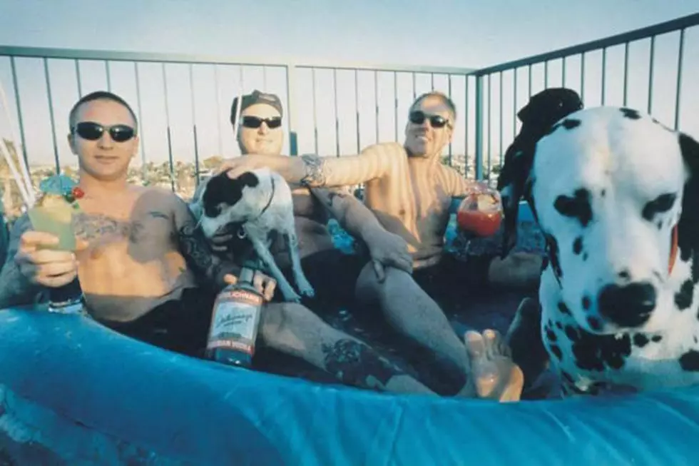 Sublime in Talks for Biopic, Prepping Documentary + Lager