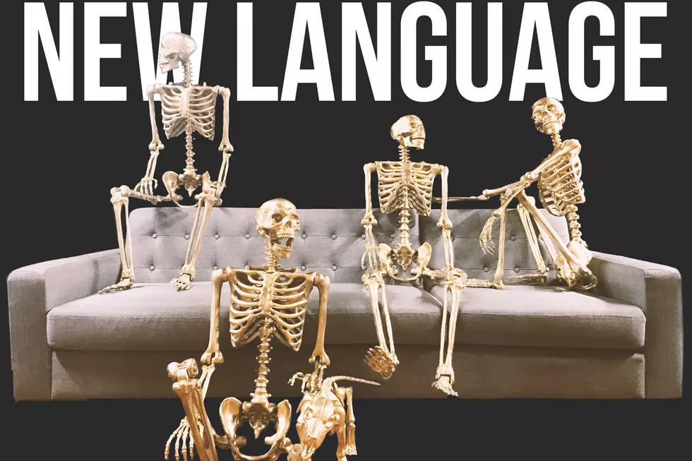 New Language, ‘Everybody Screams’ – Exclusive Video Premiere