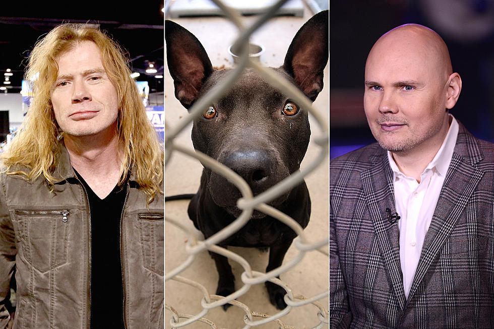 10 Rockers Who Rescue Animals