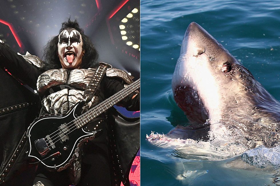 KISS Are Playing a Show for Great White Sharks But You Can Go Too