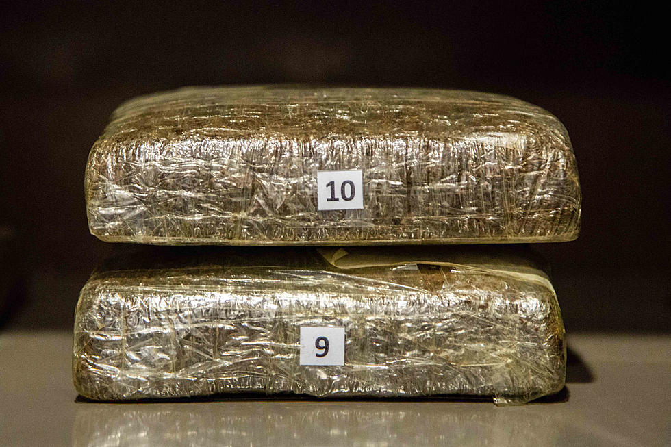 Detroit Customs Agents Seize 500 Pounds of Marijuana