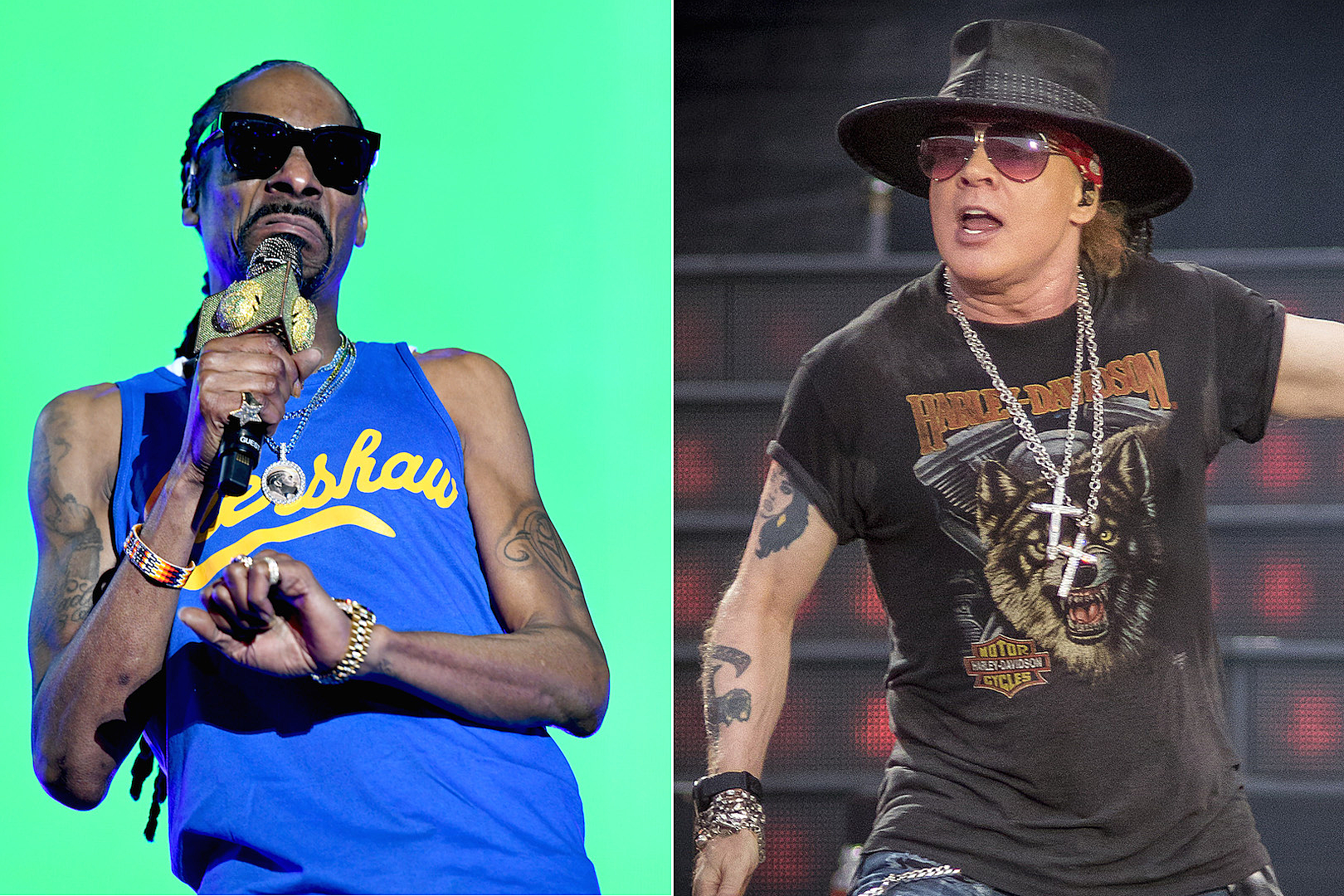 1620px x 1080px - Snoop Dogg Will Open for Guns N' Roses at Super Bowl Music Fest