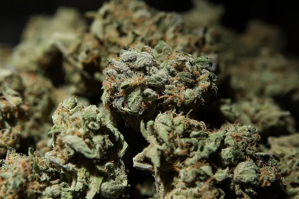 Study Claims Marijuana Could Help Fight Off COVID-19