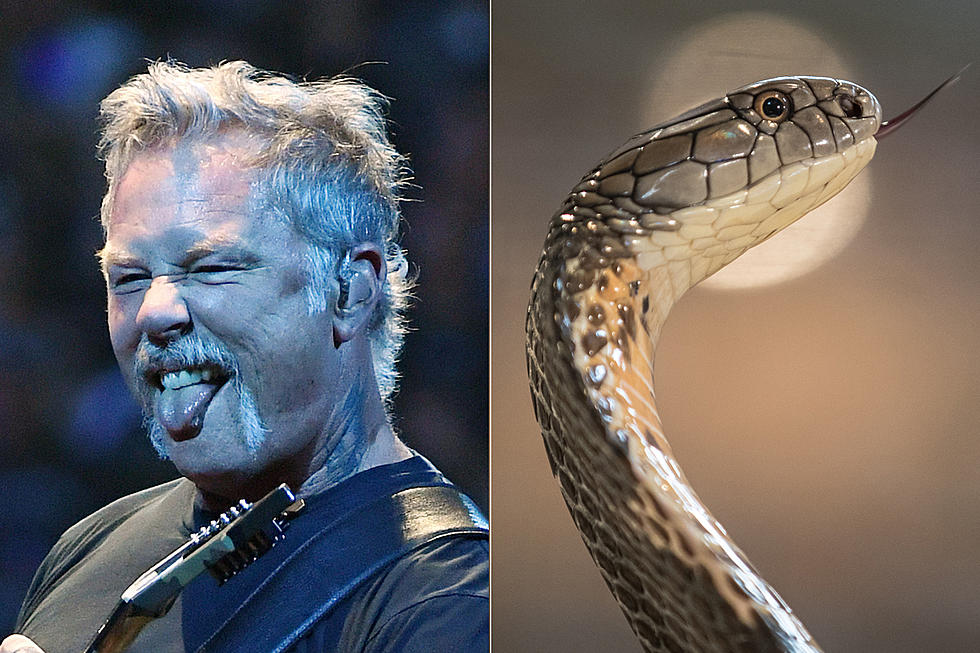 Metallica’s James Hetfield Has Venomous Species of Snake Named After Him