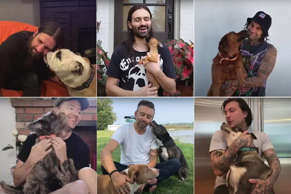 My Chemical Romance, From First to Last + More Members&#8217; Dogs are In Touche Amore&#8217;s New Music Video