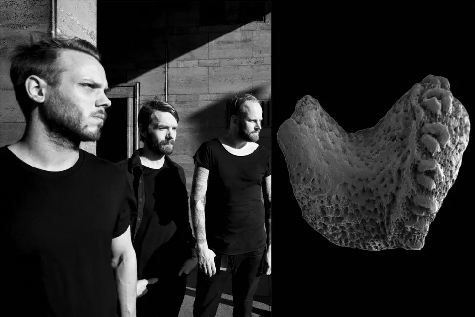 Progressive Metal Act the Ocean Gets Newly Discovered Fossil Named After Them